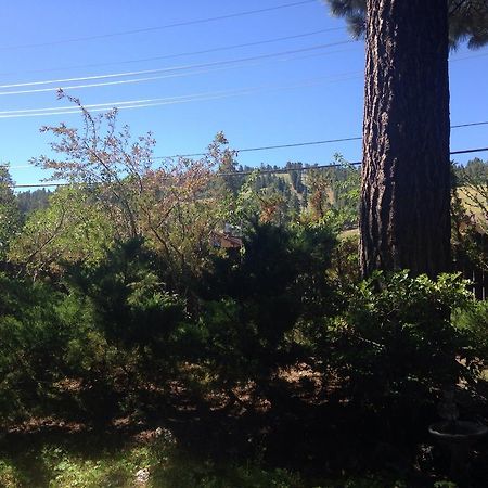 Switzerland Haus Bed And Breakfast Inn Big Bear Lake Luaran gambar