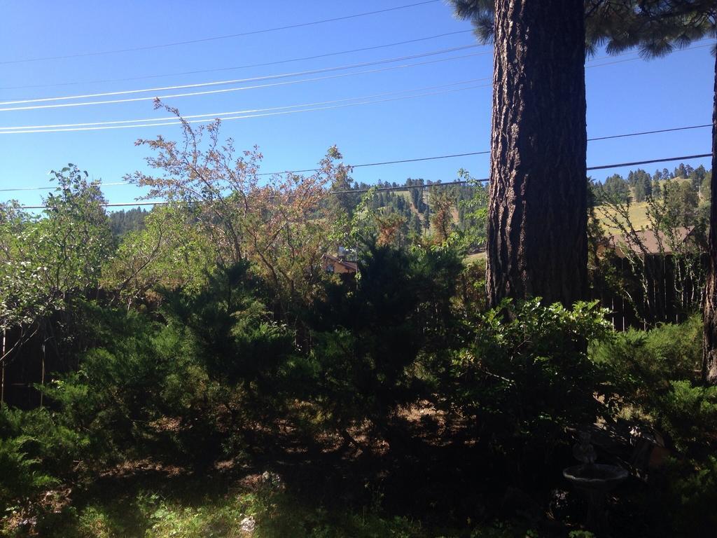 Switzerland Haus Bed And Breakfast Inn Big Bear Lake Luaran gambar